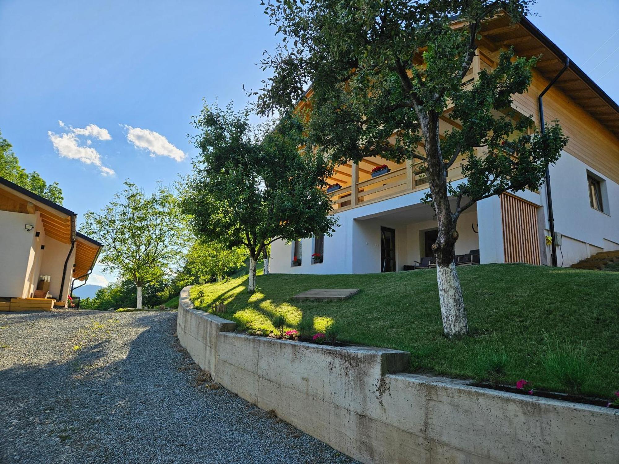 Casa Mara Viseu De Sus Hotel Exterior foto